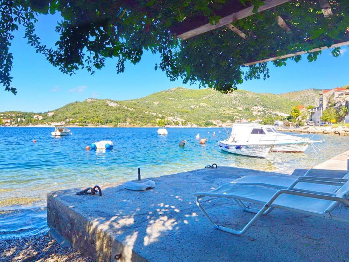 Apartments Violic Zaton (Dubrovnik-Neretva) Exterior foto